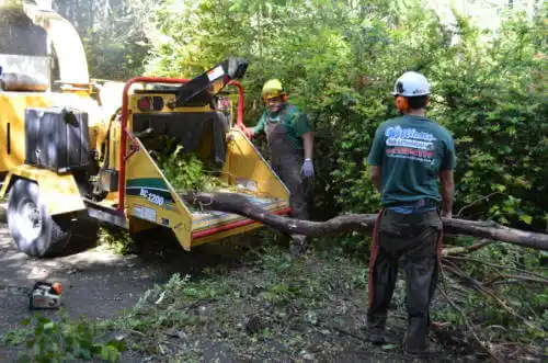 tree services Richland